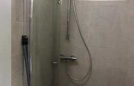 Apartament cu o camera, 50 mp, mobilat modern, zona Mega Image