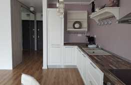 Apartament cu o camera, 50 mp, mobilat modern, pet friendly, zona strazii Fagului