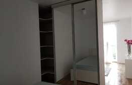 Apartament cu o camera, 50 mp, mobilat modern, pet friendly, zona strazii Fagului