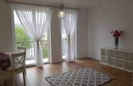 Apartament cu o camera, 50 mp, mobilat modern, pet friendly, zona strazii Fagului