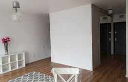 Apartament cu o camera, 50 mp, mobilat modern, pet friendly, zona strazii Fagului