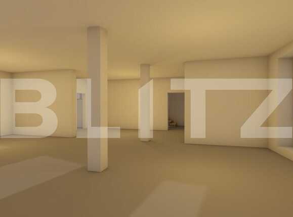 Spațiu birouri de închiriat Central - 49411SIB | BLITZ Cluj-Napoca | Poza8