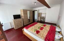 Apartament 1 camera, 42 mp, mobilat si utilat, zona Porii