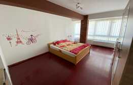 Apartament 1 camera, 42 mp, mobilat si utilat, zona Porii