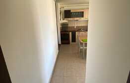 Apartament 1 camera, 42 mp, mobilat si utilat, zona Porii