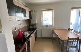 Apartament 1 camera, 42 mp, mobilat si utilat, zona Porii