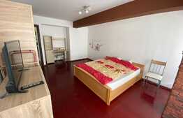 Apartament 1 camera, 42 mp, mobilat si utilat, zona Porii