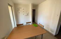Apartament 1 camera, 42 mp, mobilat si utilat, zona Porii