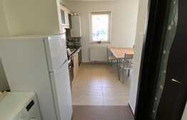 Apartament 1 camera, 42 mp, mobilat si utilat, zona Porii