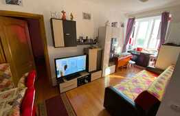 Apartament 1 camera, 31 mp, mobilat, zona Porii