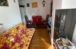 Apartament 1 camera, 31 mp, mobilat, zona Porii