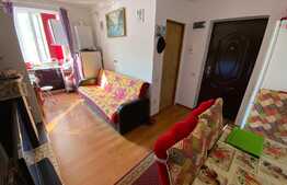 Apartament 1 camera, 31 mp, mobilat, zona Porii