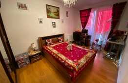 Apartament 1 camera, 31 mp, mobilat, zona Porii