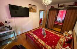 Apartament 1 camera, 31 mp, mobilat, zona Porii