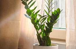 Cum ar fi sa stai intr-un apartament cochet langa Iulius Mall? 