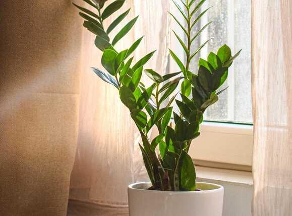 Garsonieră de închiriat Intre Lacuri - 49430AI | BLITZ Cluj-Napoca | Poza8