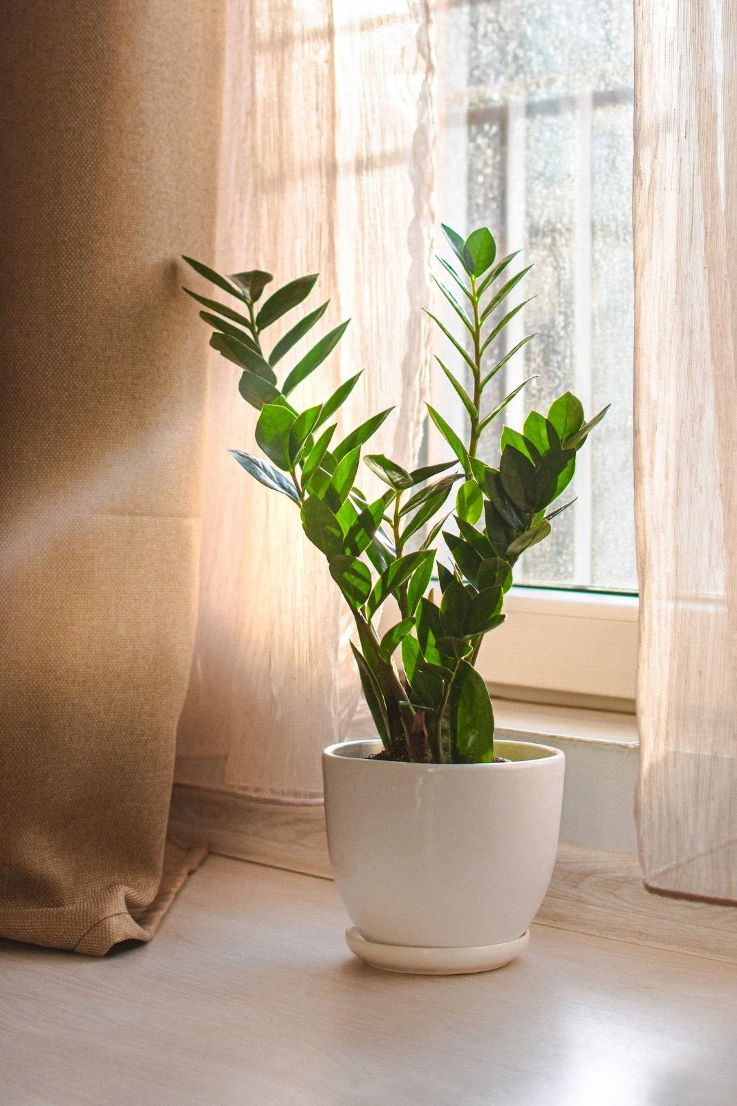 Garsonieră de închiriat Intre Lacuri - 49430AI | BLITZ Cluj-Napoca | Poza8