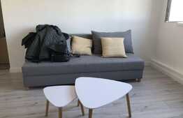 Apartament cu 2 camere, 43 mp, semidecomandat, proaspat renovat, in zona strazii Padis