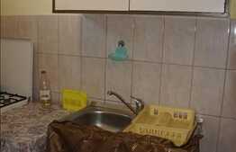 Apartament 1 camera, 28 mp utili, zona Aleea Detunata