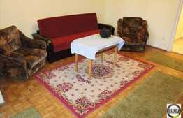 Apartament 1 camera, 28 mp utili, zona Aleea Detunata