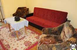 Apartament 1 camera, 28 mp utili, zona Aleea Detunata