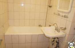 Apartament 1 camera, 28 mp utili, zona Aleea Detunata