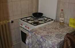 Apartament 1 camera, 28 mp utili, zona Aleea Detunata