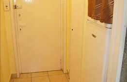 Apartament 1 camera, 28 mp utili, zona Aleea Detunata