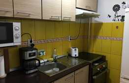 Apartament cu 1 camera, mobilat si utilat, 33 mp utili, zona strazii Plevnei