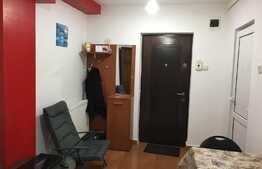 Apartament cu 1 camera, mobilat si utilat, 33 mp utili, zona strazii Plevnei