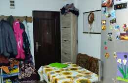 Apartament cu 1 camera in zona linistita, 30mp + parcare, zona strazii Bucuresti