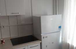 Apartament cu 1 camera, 20 mp, zona Expo Transilvania