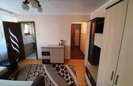 Apartament cu 2 camere, 30 mp, zona strazii Septimiu Albinii