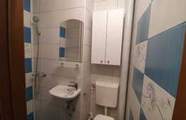 Apartament cu 2 camere, 30 mp, zona strazii Septimiu Albinii