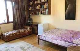 Studio spatios 40mp, zona strazii Onisifor Ghibu