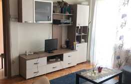 Apartament 2 camere, etaj intermediar, zona Interservisan