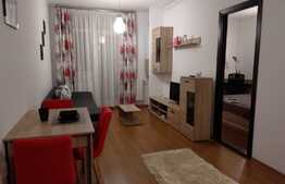 Apartament 2 camere, 40mp, finisat si mobilat, bloc nou, zona strazii Oasului