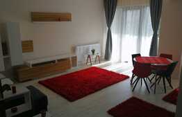 Apartament 2 camere, 60 mp, mobilat modern, terasa 30 mp, zona Luminia Residence