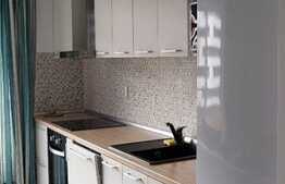 Apartament 2 camere, 55 mp, mobilat modern, prima inchiriere, parcare, zona Sophia Residence