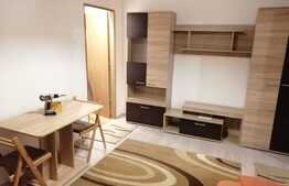 Apartament cu 2 camere, renovat recent, la prima inchiriere, zona strazii Septimiu Albinii