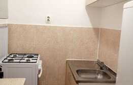 Apartament cu 2 camere, renovat recent, la prima inchiriere, zona strazii Septimiu Albinii