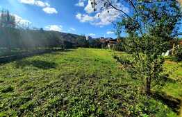 Teren de  1950 mp cu  casa individuala de 98 mp in Manastur