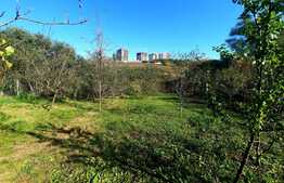 Teren de  1950 mp cu  casa individuala de 98 mp in Manastur