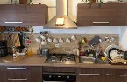 Apartament 2 camere, 56 mp, terasa, parcare, zona Porii