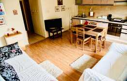 Apartament 2 camere, 45 mp, mobilat modern, parcare, zona strazii Tautiului