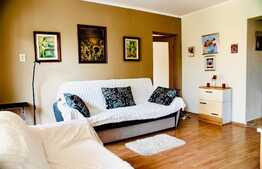 Apartament 2 camere, 45 mp, mobilat modern, parcare, zona strazii Tautiului