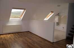 Apartament ultrafinisat dispus pe 2 nivele!