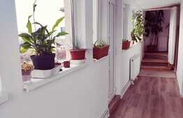 Casa individuala, pet friendly, 4 camere, parcare, zona Wonderland