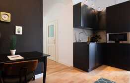 Apartament cu nisa de dormit , 50 mp, modern/lux, in zona Piata Unirii 