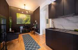 Apartament cu nisa de dormit , 50 mp, modern/lux, in zona Piata Unirii 